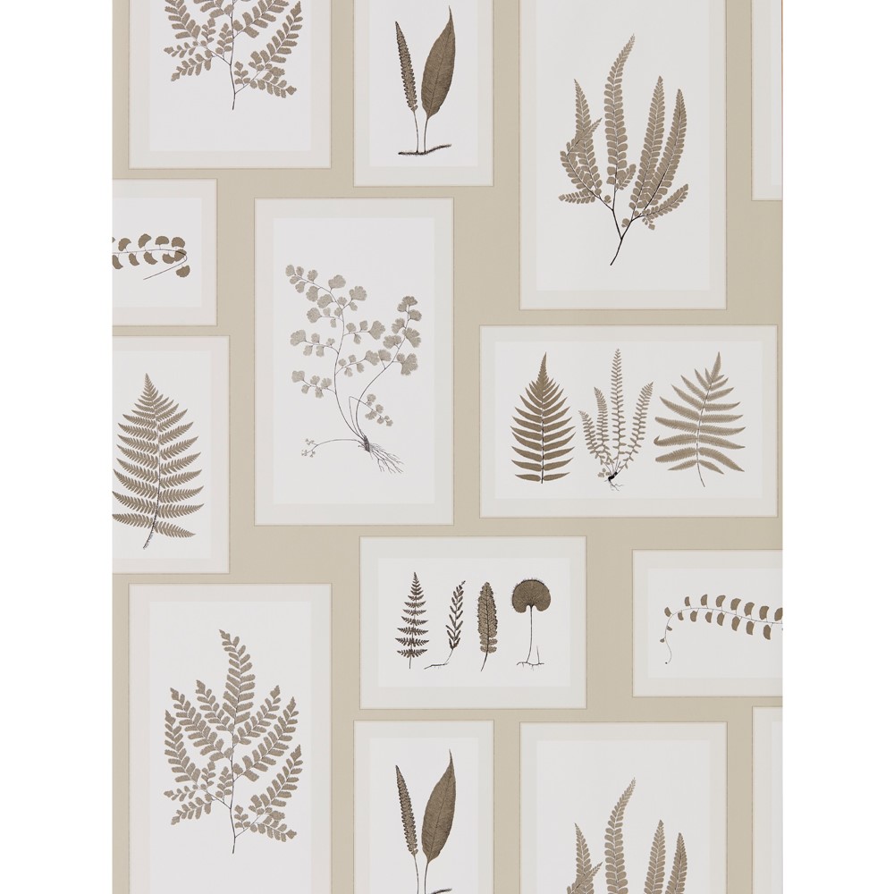 Fern Gallery Wallpaper 215714 by Sanderson in Linen Sepia Brown